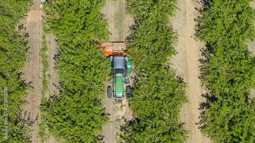 overhead view of tractor working in California almond tree orchard photo