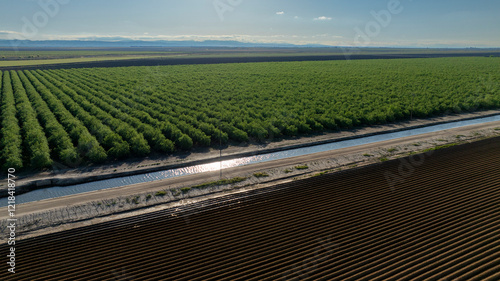 Obraz na plátne Aerial view of water canal splitting dense orchard and barren field
