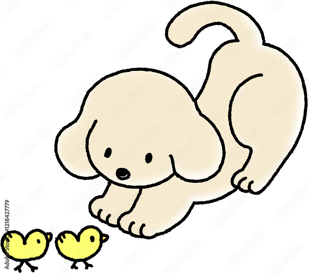 Obraz premium 귀여운 강아지