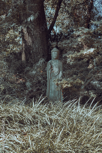 Buddha Statue Nestled Among Trees and Tall Grass in a Serene Forest Setting