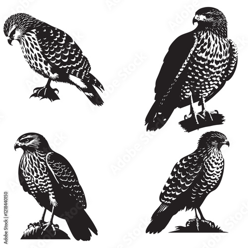 High-Quality Vector Silhouette of a Red-Shouldered Hawk Isolated on White Background"