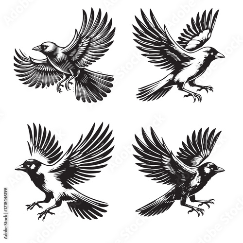 High-Quality Vector Silhouette of a Flying Jackdaw Isolated on White Background