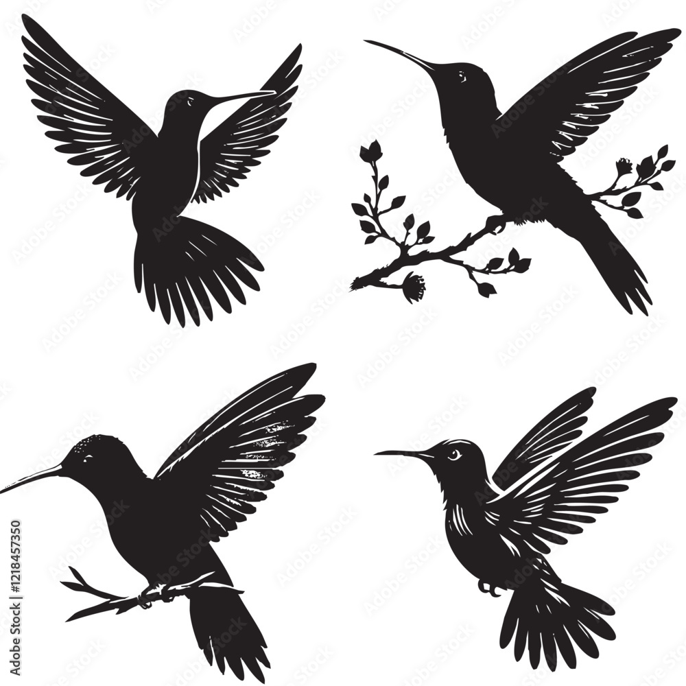 Obraz premium Premium Silhouette Vector of a Ruby-Throated Hummingbird on a White Background