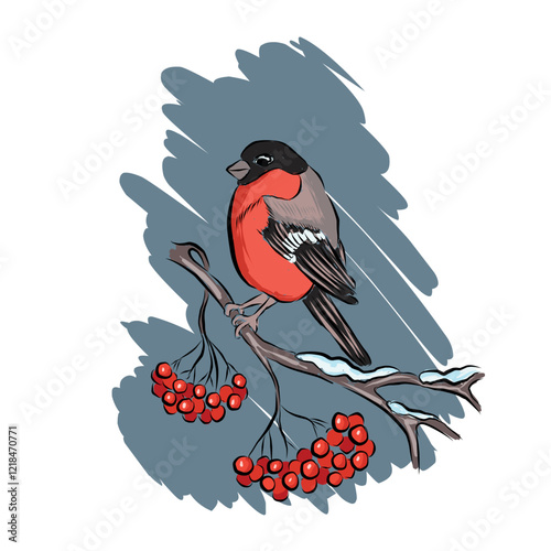 A bullfinch sitting on a branch of a snow-covered rowan tree. Scenic illustration for postcard design. Vector illustration