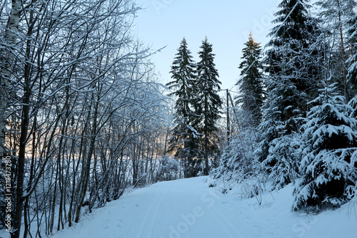 Fototapeta kuchenna Winter