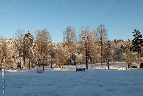 Obraz na płótnie Winter
