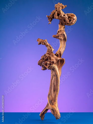 Detailed view of rustic driftwood, perfect for aquariums or terrariums no  purple background. photo