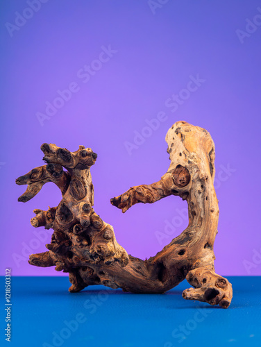 A macro image showcasing the intricate textures of natural driftwood, ideal for aquariums and terrariums, highlighted by a bold purple backdrop. photo