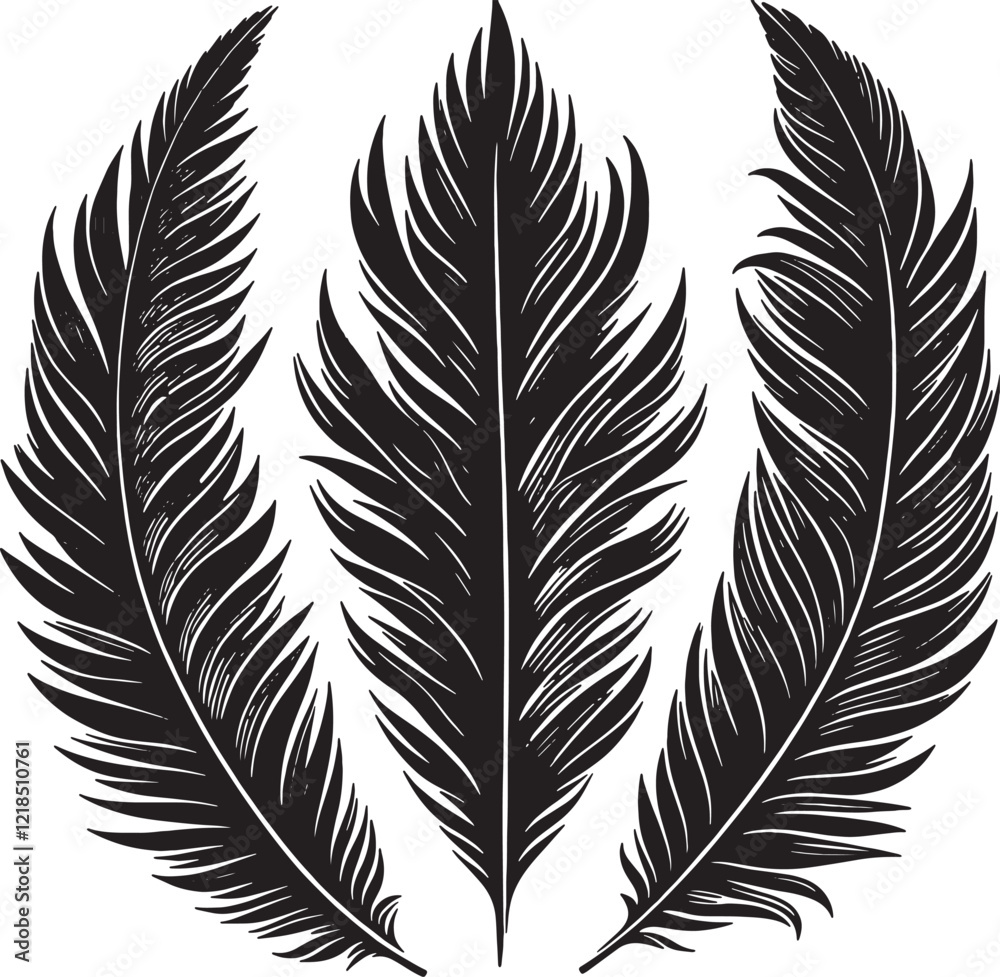 Minimal Feather Inspired Leaf Shapes Illustration Minimal Feather Inspired Leaf Shapes Illustration