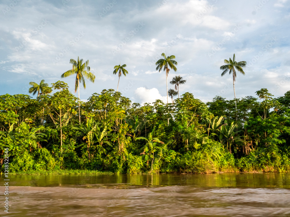 Amazon river landscape with rainforest.