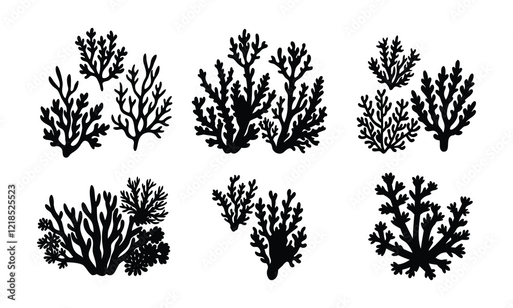 Fototapeta premium Various coral isolated on white