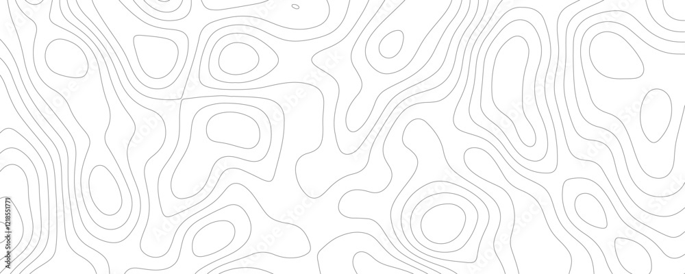 Lines Topographic contour lines vector map seamless pattern. White texture for your perfect interior. Abstract white paint floor stamped concrete surface pattern circle rough gray.	