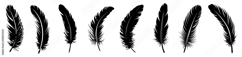 Fototapeta premium PNG Silhouette feathers elegant natural pattern, isolated element set, transparent background
