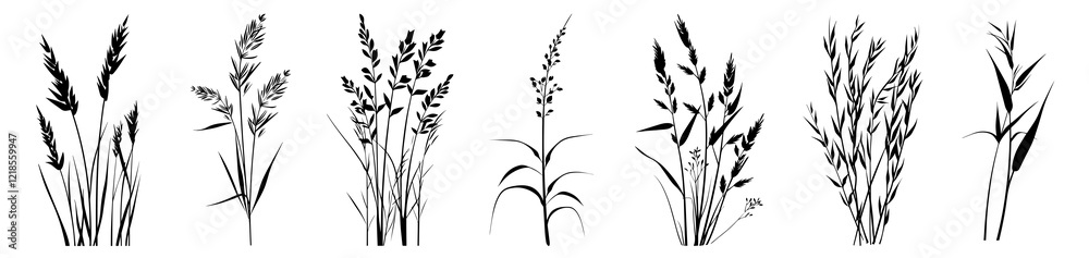 Fototapeta premium PNG Silhouettes of various grass plants, element set on transparent background