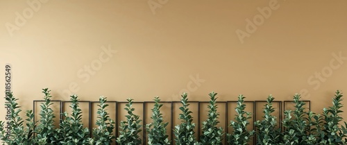 Rectangular bushes forming sharp borders on a plain golden beige background photo