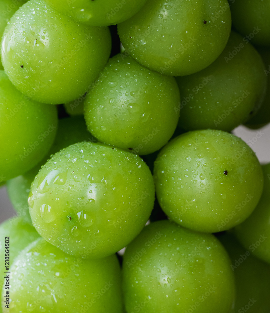 close up of green grapes with water
