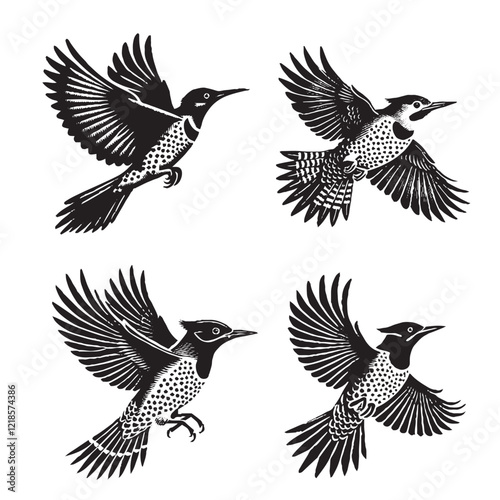 detailed black  Vector Silhouette of a Flying Northern Flicker on White Background