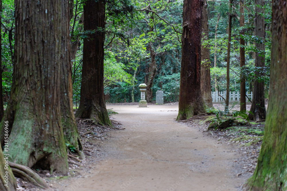 Obraz premium 鹿島神宮の要石までの道