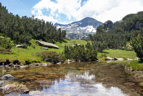 Pirin Mountain around Banderitsa River, Bulgaria photo