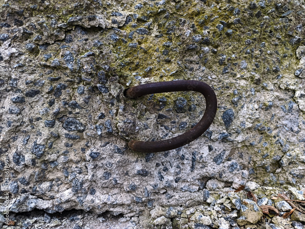 A rusty hook on a rock with moss growing on it A rusty hook on a rock with moss growing on it