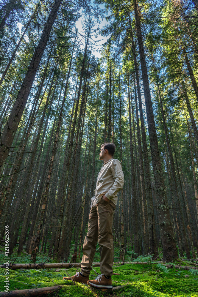 A young male hiker is looking in the distance in the middle of a coniferous forest. A young male hiker is looking in the distance in the middle of a coniferous forest.