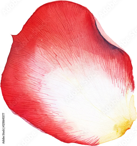 A watercolor painting of a red petal on an isolated background