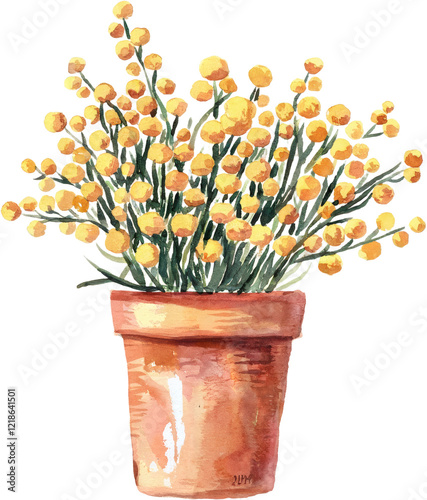 A watercolor painting of a mimosa in a pot on an isolated background