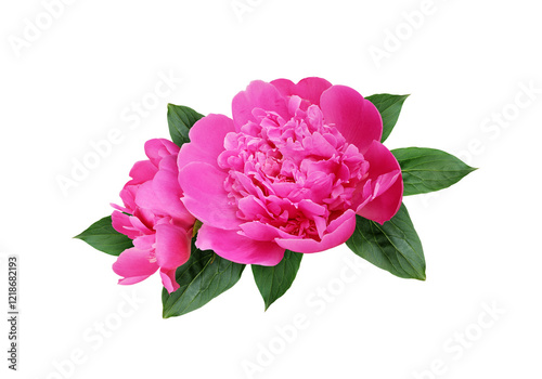 Pink peony flowers in a flo...