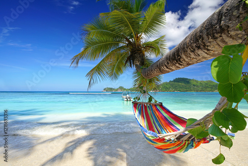 Fototapeta Naklejka Na Ścianę i Meble -  stunning palm beach with turquoise sea and colorful hammock
