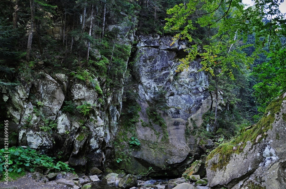 nature, water, river, stream, forest, tree, rock, mountain, landscape, waterfall, green, stone, rocks, trees, moss, park, canyon, travel, summer, wet, wood, grass, wilderness, spring, wild nature, water, river, stream, forest, tree, rock, mountain, landscape, waterfall, green, stone, rocks, trees, moss, park, canyon, travel, summer, wet, wood, grass, wilderness, spring, wild