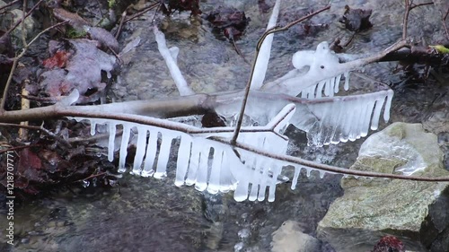 Frozen Icicles on Branches Over Winter Creek in Natural Forest Setting