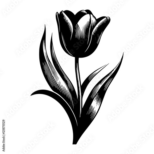 Beautiful Pink Tulip Flower Silhouette with Open Blooms, Springtime Freshness in Black and White, Isolated on Transparent Background