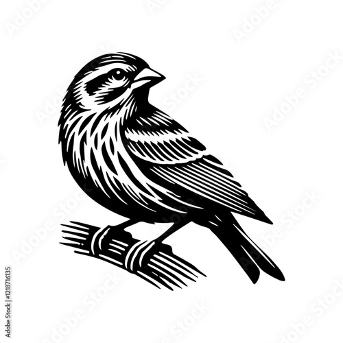 Bright Yellow Canary with Spread Wings in Midflight, Elegant and Graceful Black and White Vector Design, Isolated on White Background