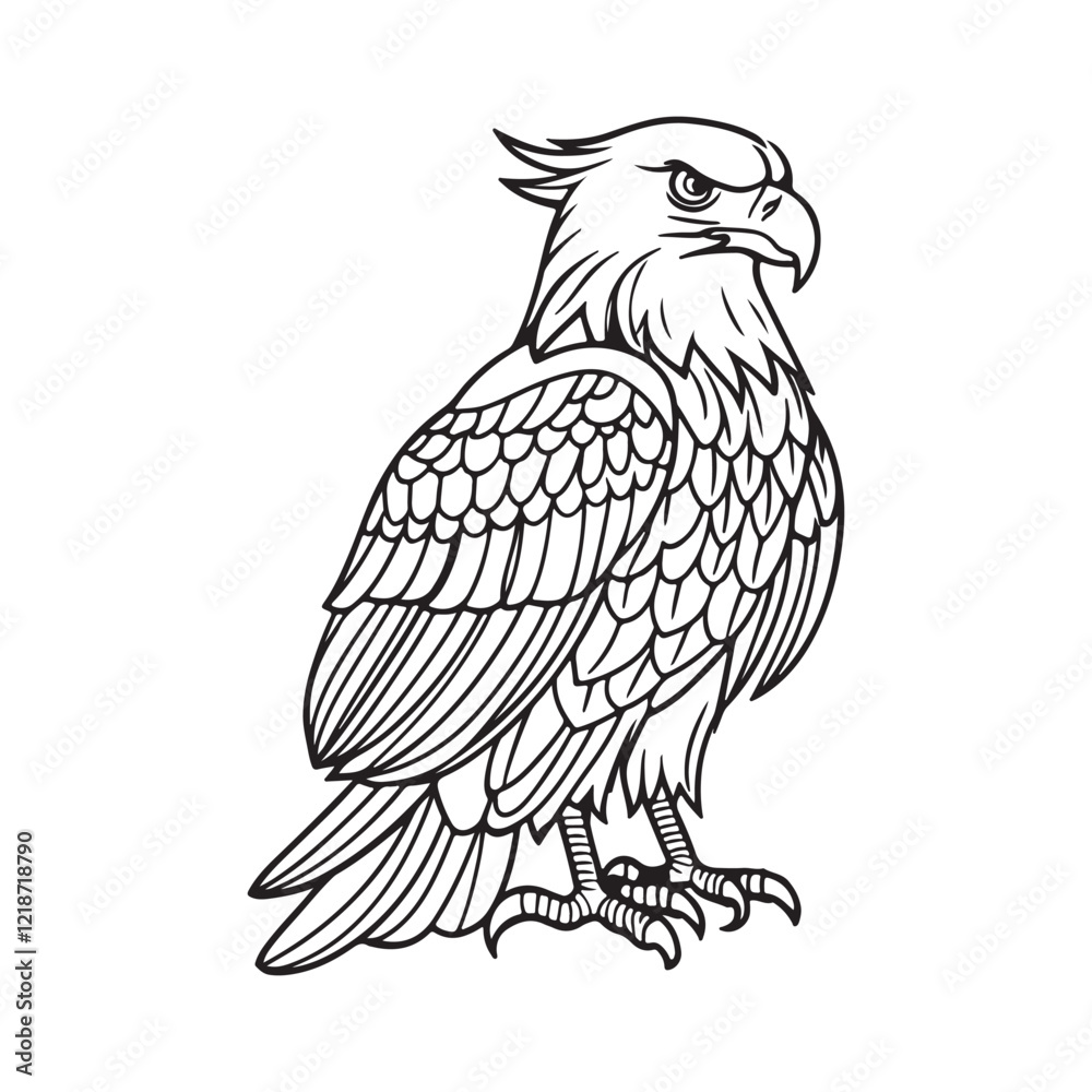 Fototapeta premium Black and White silhouette Eagle Line Art with Intricate Feather Details and Powerful Close-Up Perspective