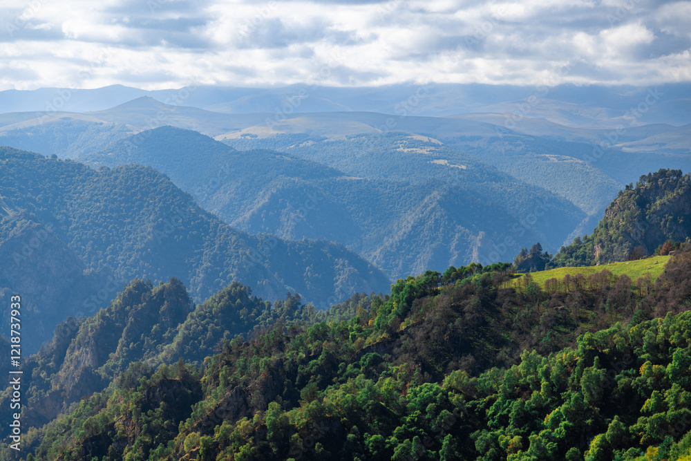 The mountains are covered in trees and the sky is clear. The view is breathtaking and peaceful. The mountains are a beautiful and serene landscape The mountains are covered in trees and the sky is clear. The view is breathtaking and peaceful. The mountains are a beautiful and serene landscape