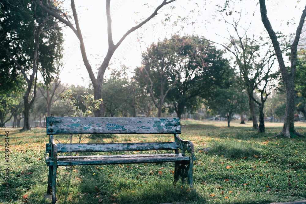chair on green grass of city park chair on green grass of city park