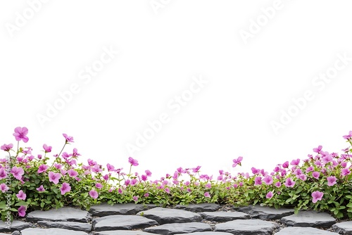Pink Flowers on Stone Border