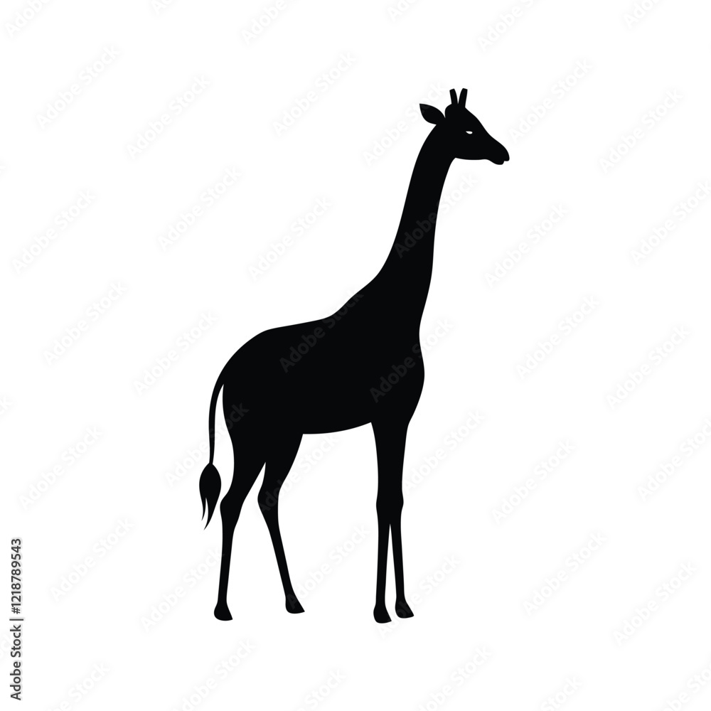 Fototapeta premium giraffe isolated on white background