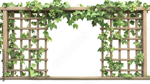 Wood fence and lineage grass on transparent background