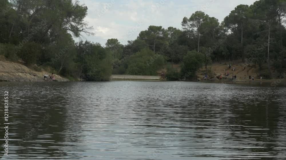 Little lake or pond among the forest trees Little lake or pond among the forest trees