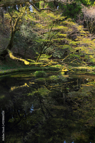 山吹水源