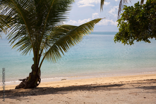 Palm trees on a beach at Ko Ngai, Thailand.