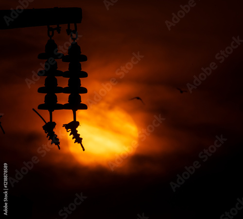 Electric pole and bird silhouette at sunset