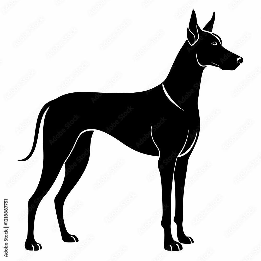 Obraz premium Great Dane silhouette vector black animal on white background