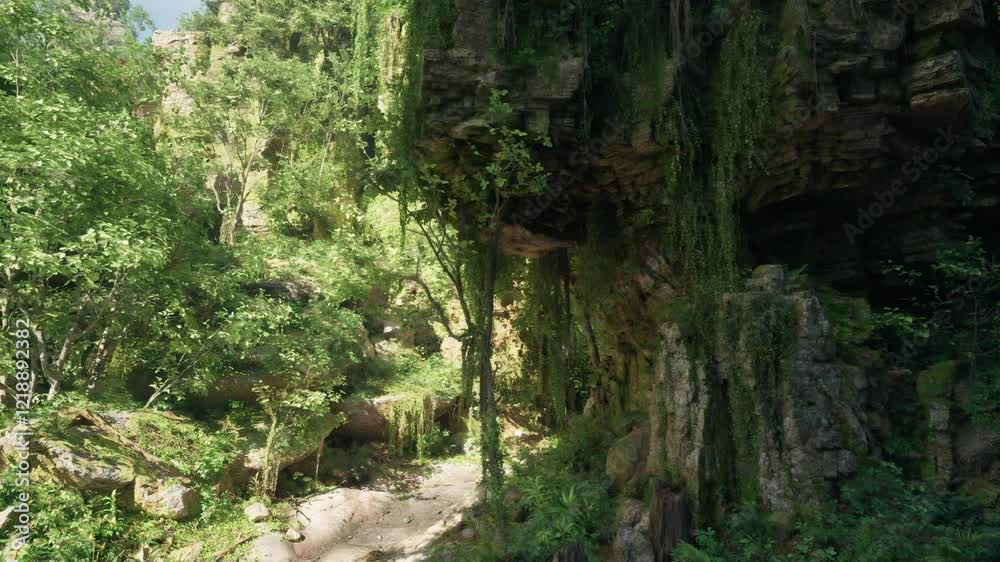 A dense and vibrant Australian forest teeming with lush greenery and towering trees A dense and vibrant Australian forest teeming with lush greenery and towering trees
