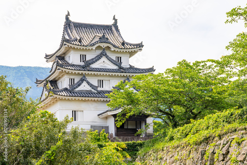 Obraz na płótnie 愛媛県宇和島の城、日本、5月 w salonie