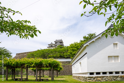 Obraz na płótnie 愛媛県大洲市の城、日本、5月 w salonie
