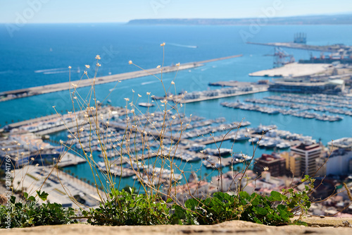 Scenic coastal view of a marina with boats, a port, and distant hills under a clear blue sky. Alicante, Spain 10.01.2023 photo