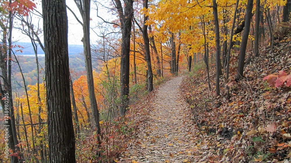 Obraz premium Autumn forest trail overlooking valley. Possible use Nature photography