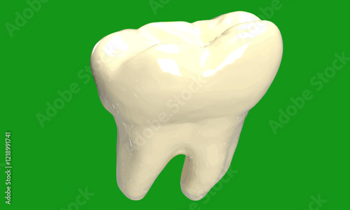 mandibular first left molar., tooth, human 3d